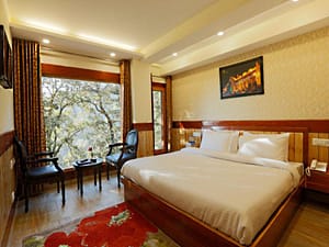Hotels and Home stays near The Mall Road, Shimla. Book your Stay now